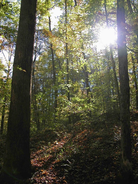 Sat 29 Oct 2005 03:25:25 PM EDT