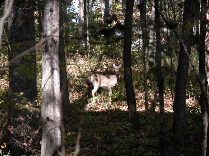 Sat 29 Oct 2005 03:26:37 PM EDT