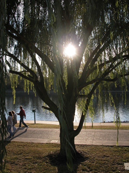 Sun 30 Oct 2005 05:56:49 PM EST