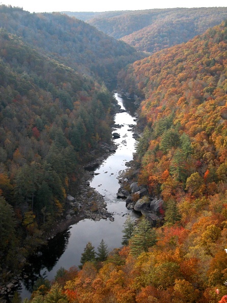 Thu 03 Nov 2005 04:52:17 PM EST