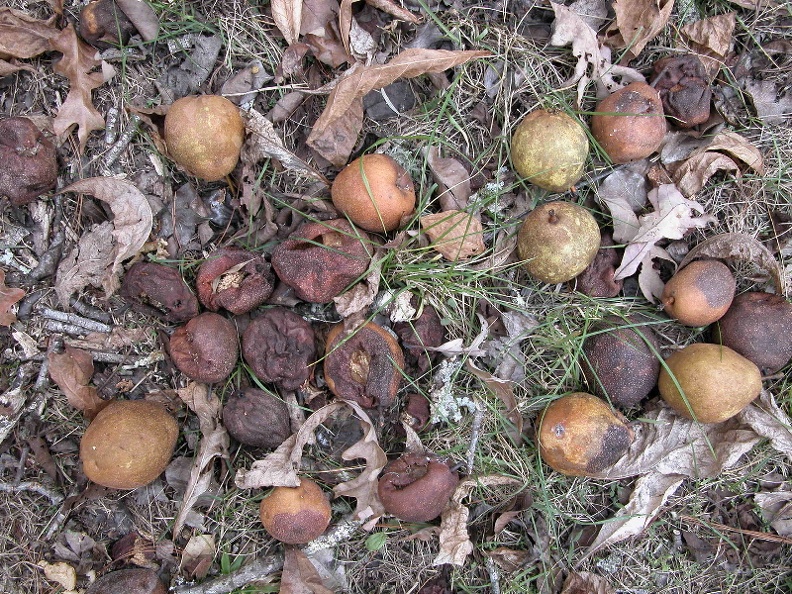 Fri 04 Nov 2005 04:14:17 PM EST