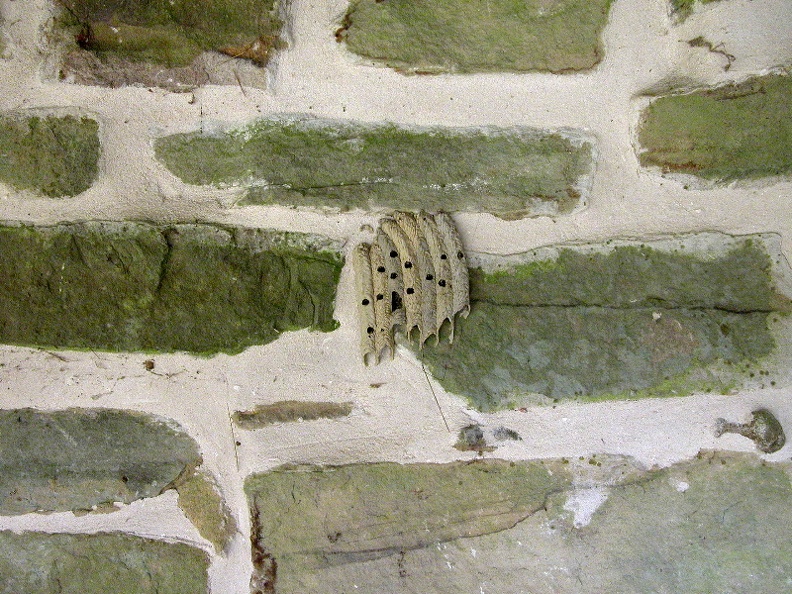 Fri 04 Nov 2005 04:40:52 PM EST