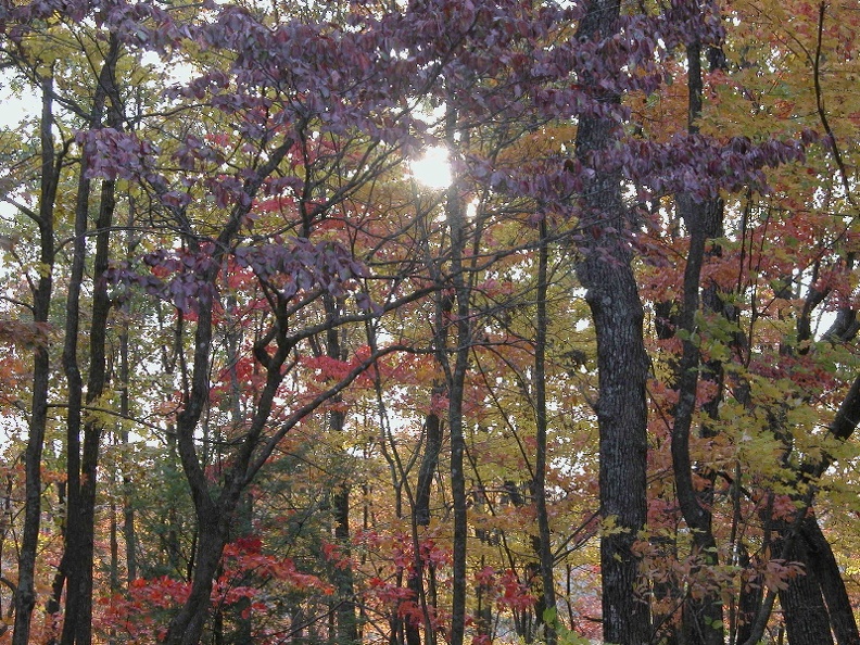 Fri 04 Nov 2005 05:53:36 PM EST