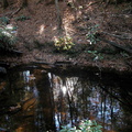 Sat 12 Nov 2005 03:10:34 PM EST