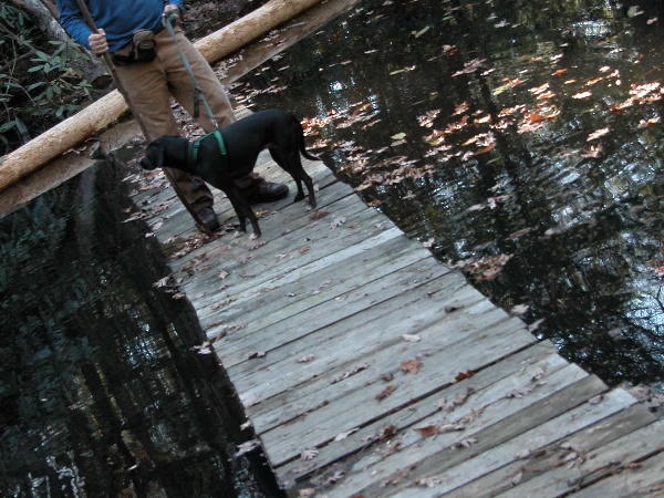 Chris &amp; Poco cross Rock Creek