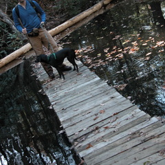 Chris &amp; Poco cross Rock Creek