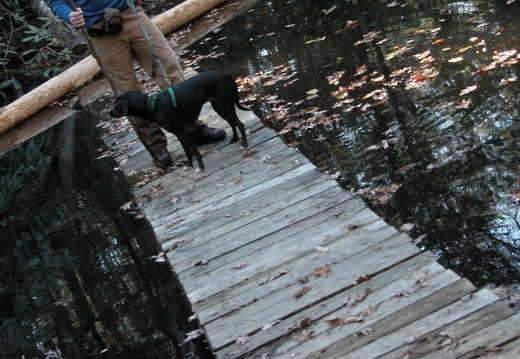 Chris &amp; Poco cross Rock Creek