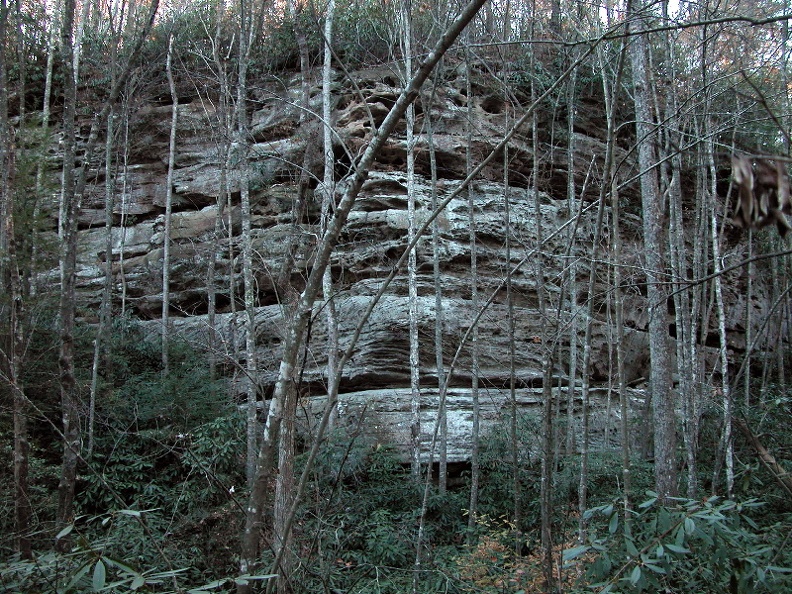 abf.jpg