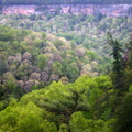 Sun 30 Apr 2006 07:38:37 PM EDT