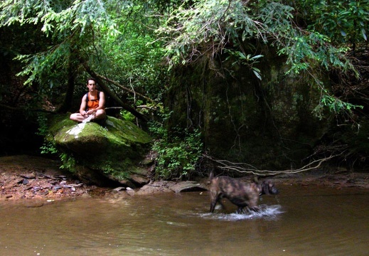 May 12: Clifty Wilderness, Red River Gorge