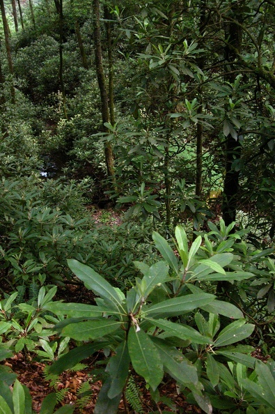 Sat 27 May 2006 05:11:42 PM EDT