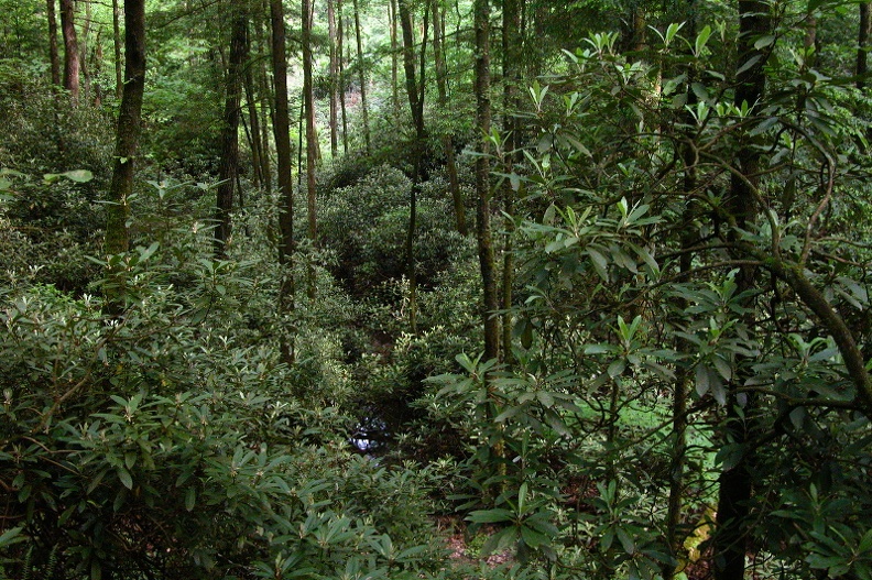 Sat 27 May 2006 05:11:52 PM EDT