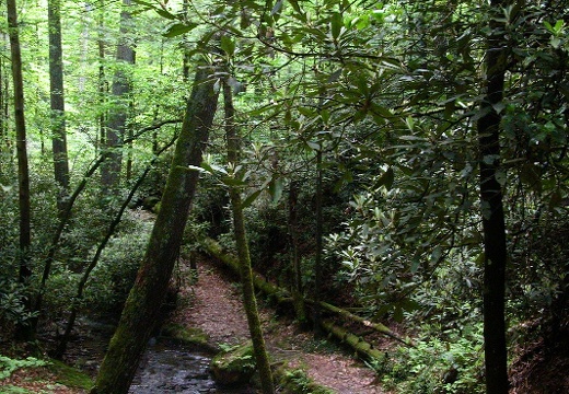 May 27: Parched Corn Creek, Red River Gorge