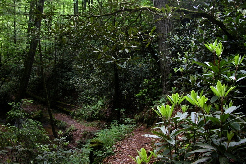 Sat 27 May 2006 05:19:17 PM EDT