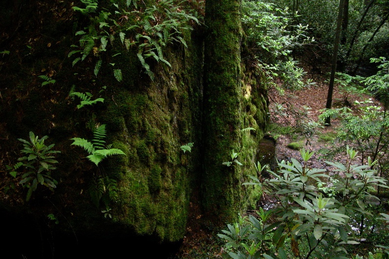 Sat 27 May 2006 05:20:00 PM EDT