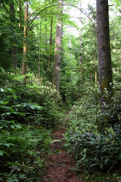 Sat 27 May 2006 05:24:00 PM EDT