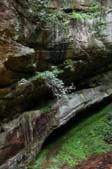 D. Boone Hut