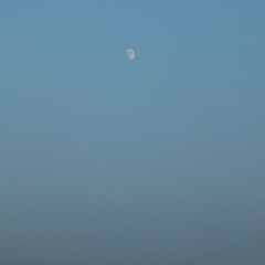 Sun 03 Sep 2006 07:38:55 PM EDT
