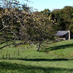 Sun 01 Oct 2006 10:19:58 AM EDT