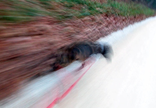 Nov 18: The Power Loop, Red River Gorge