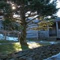 Mt. Le Conte Lodge