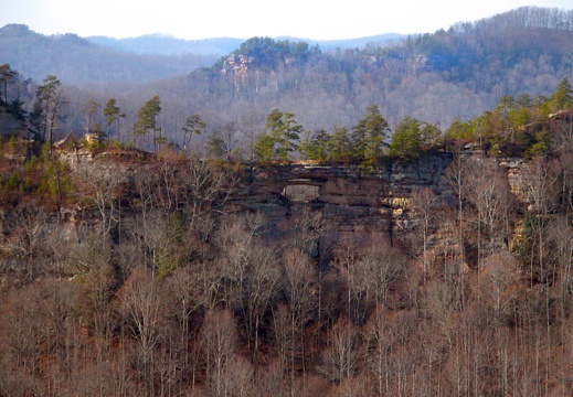 Dec 14: Auxier Ridge, Red River Gorge