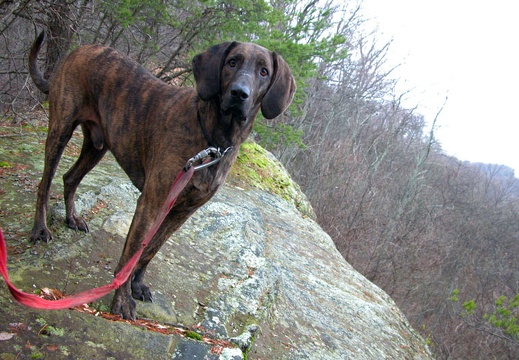 Jan 6: Furnace Arch, Cave Run Lake