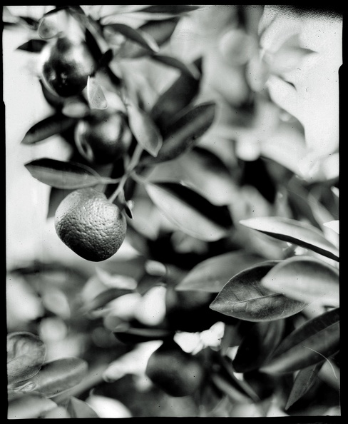 Sun 04 Feb 2007 04:01:10 PM EST