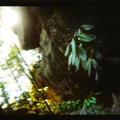 Wall along to Dog Slaughter Falls