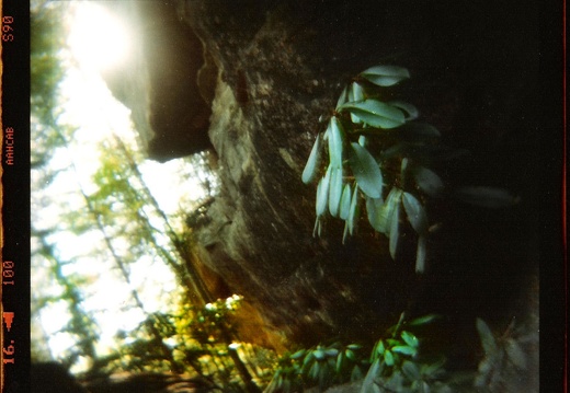 Wall along to Dog Slaughter Falls