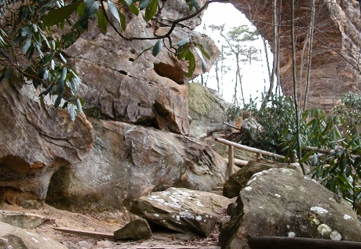 Mar 27: Sheltowee Trace, Natural Bridge to Whites Br.