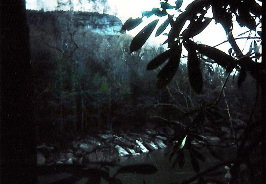 Rockcastle River below the Rockcastle Narrows