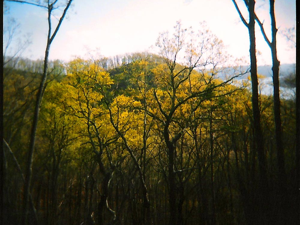 Lake View Trail