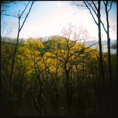 Lake View Trail