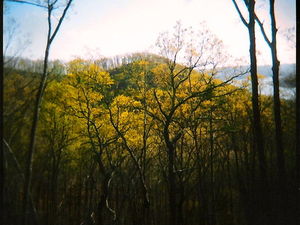 Lake View Trail