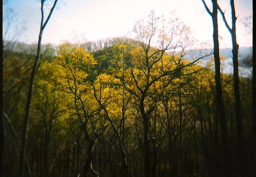 Apr 4: Cave Run Lake, Daniel Boone National Forest