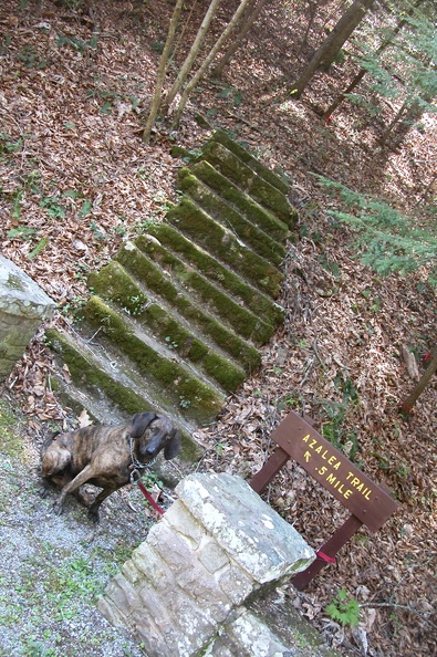 Sat 21 Apr 2007 03:11:37 PM EDT