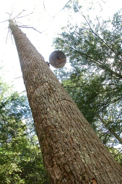 Sat 21 Apr 2007 03:21:56 PM EDT