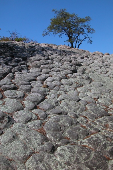 Sat 21 Apr 2007 04:22:26 PM EDT