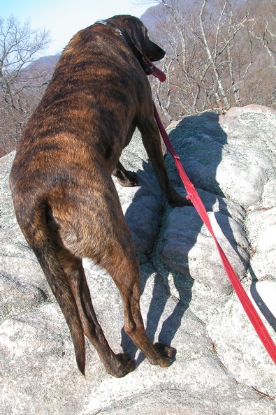 Sat 21 Apr 2007 04:22:59 PM EDT