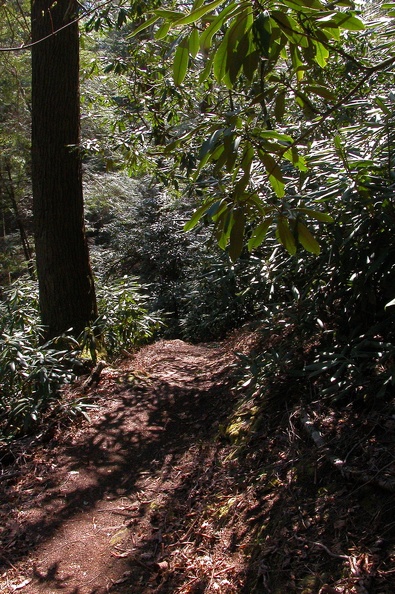 Sat 21 Apr 2007 04:31:49 PM EDT