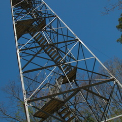 Plateau Overlook. Pickett State Park fire tower.