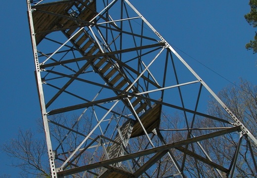 Plateau Overlook. Pickett State Park fire tower.