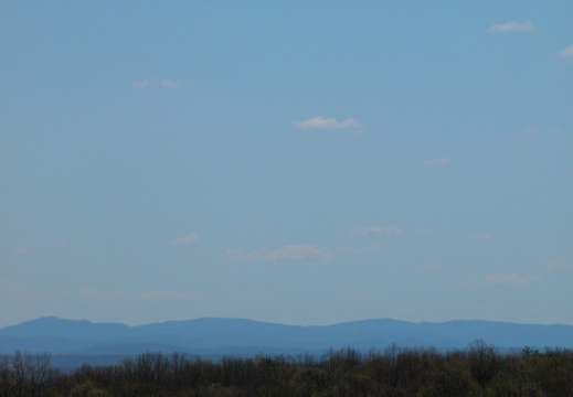 Plateau Overlook. Pickett State Park fire tower.