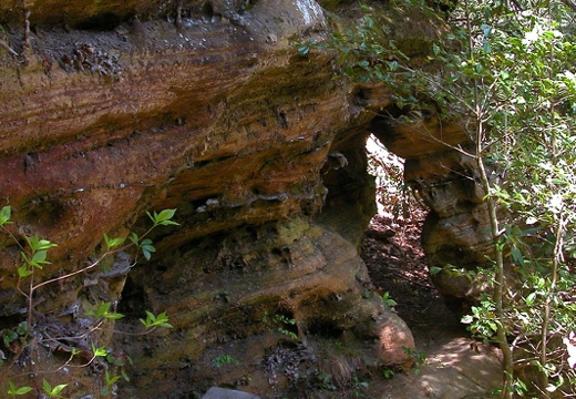 1930's CCC bench along Hidden Passage Trail.