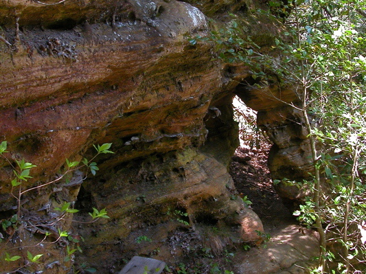 1930's CCC bench along Hidden Passage Trail.