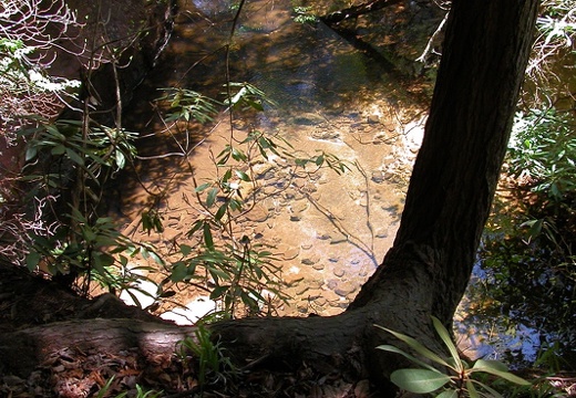 From the Hidden Passage to Thompson Creek.