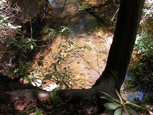 From the Hidden Passage to Thompson Creek.