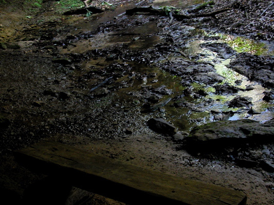 1930's CCC bench, trail rest.