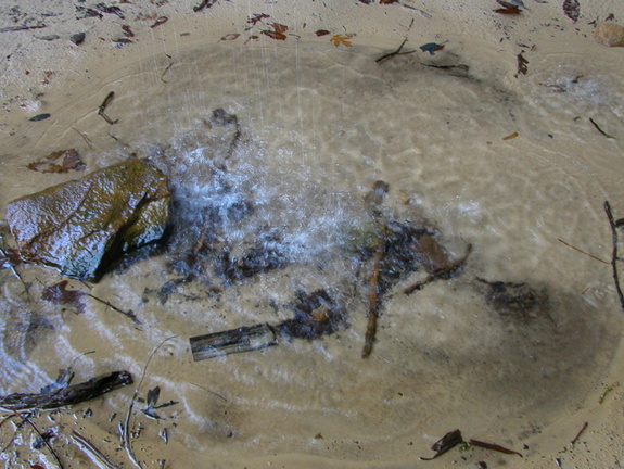 Small pool from rock house waterfall.